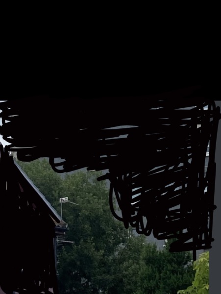 Will this tree damage my roof?