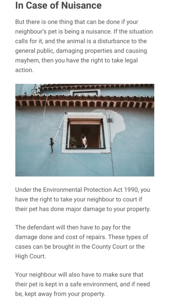 To break into my new neighbours house *THREAD 3: The Final Conundrum*