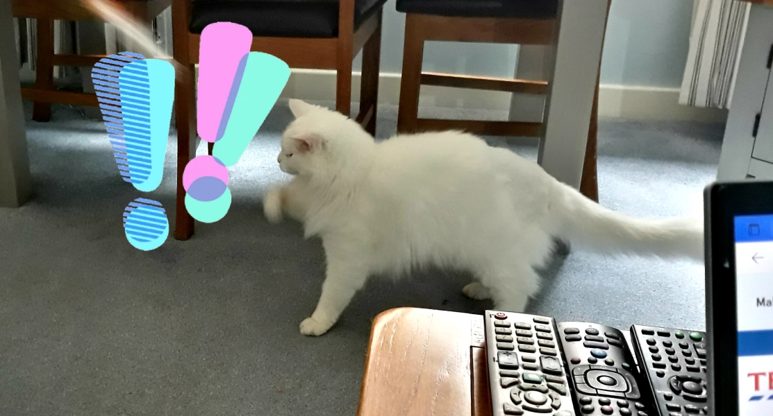 Further Adventures of the Excellent Cats