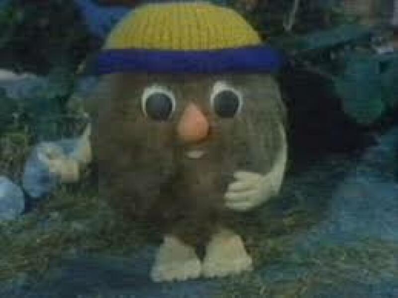 Police withdraw stalking protection order application against Caroline Farrow