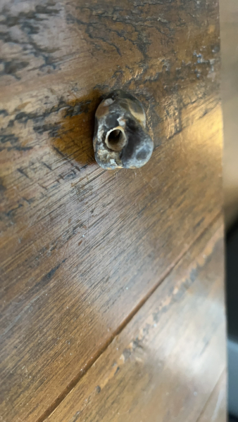 Any Witches Here?- Part 19