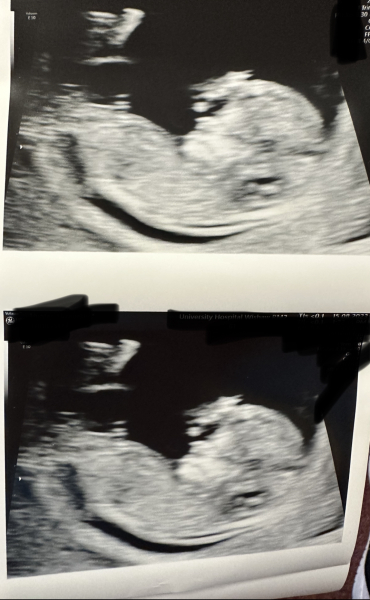 February 2024 Babies 👶 (thread 3)