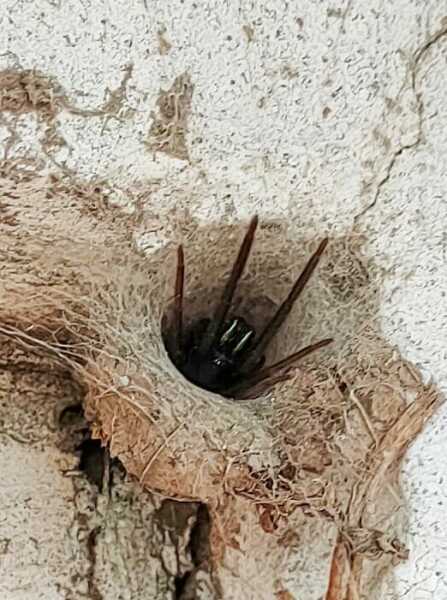What the fuck made this bastard