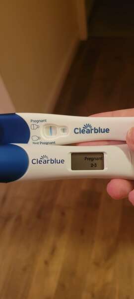 4 weeks pregnant / due April 2024