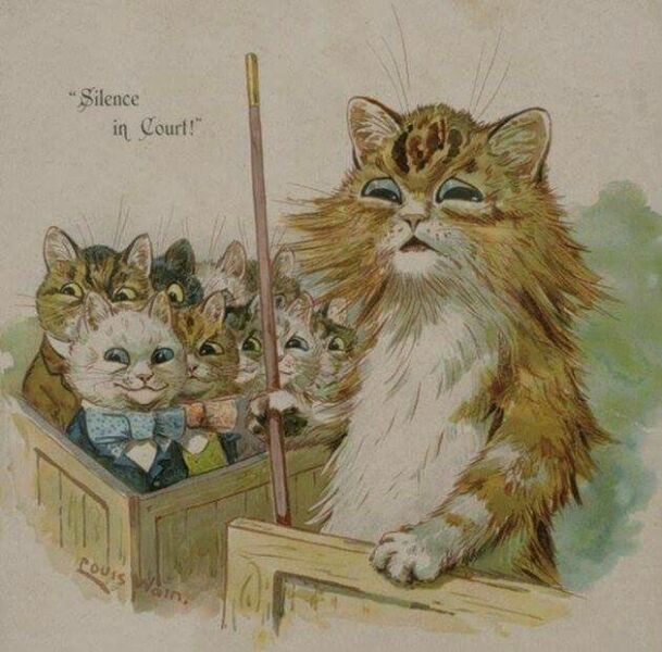 To break into my new neighbours house *THREAD 3: The Final Conundrum*