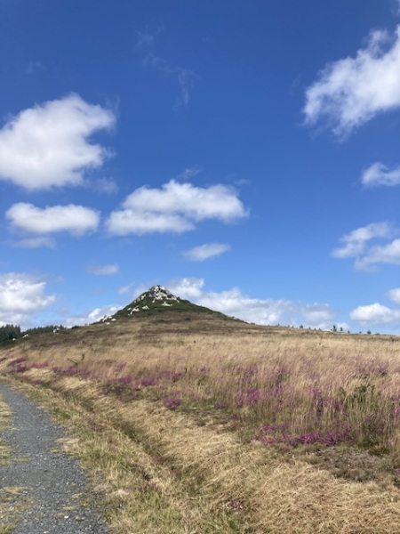 The Saxenda Sisterhood 