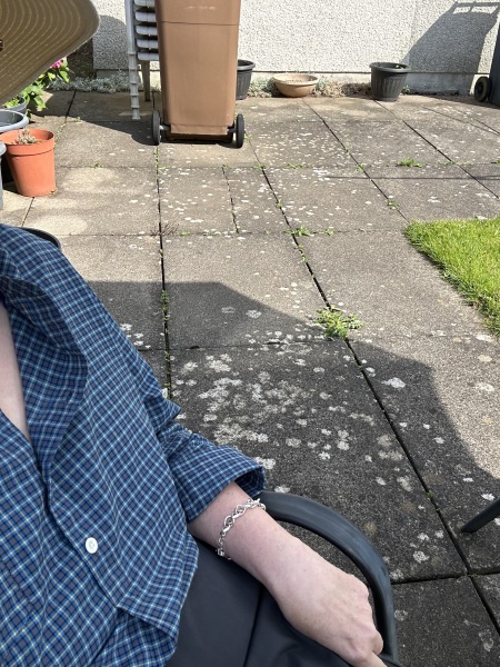 Toasties consider mushroom foraging, librarianship or simply handing back our purchases for resell. Or not.