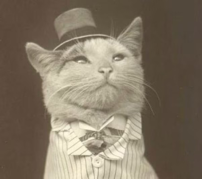 RIP darling Magic/Snorg.