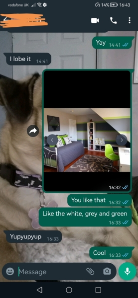 How do I style this awful green colour DS has picked for his room?