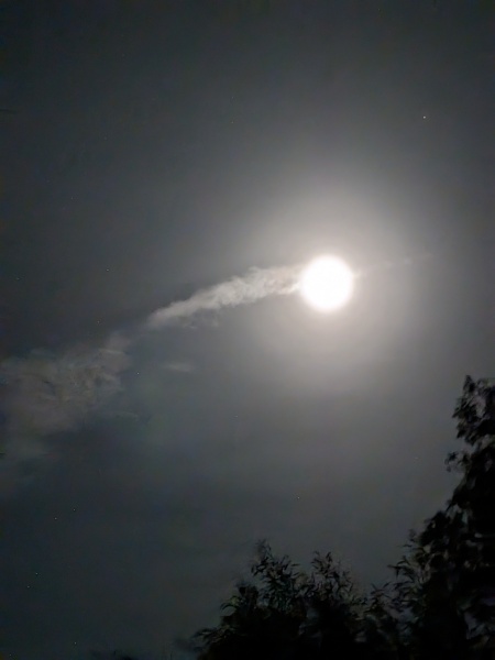 The Moon tonight