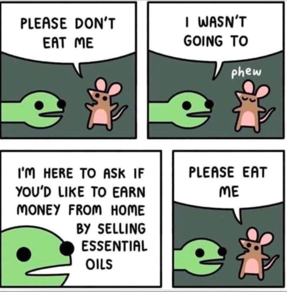 BOTWATCH 78 - the latest  thread in a VERY long series about the deceptions practised by MLMs. Unbelievably people are still being hooked in by these schemes where 97% of those who join LOSE MONEY