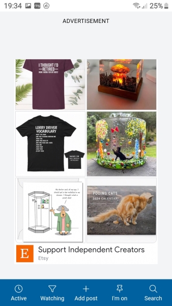 The pooing cat Etsy ad