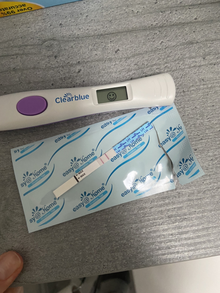 Ovulation after pregnancy loss