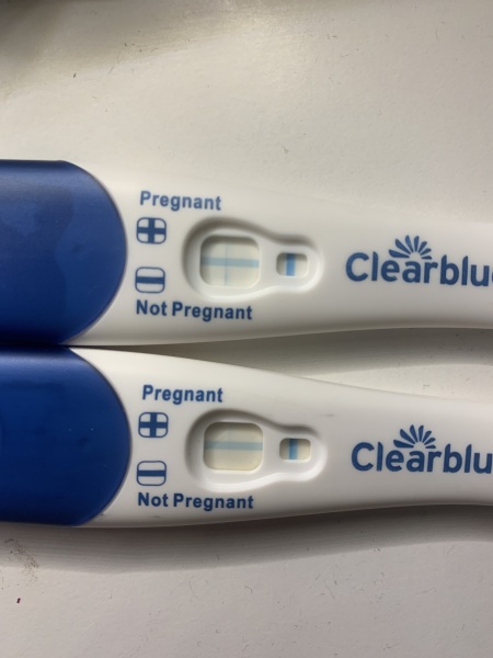 Pregnancy
