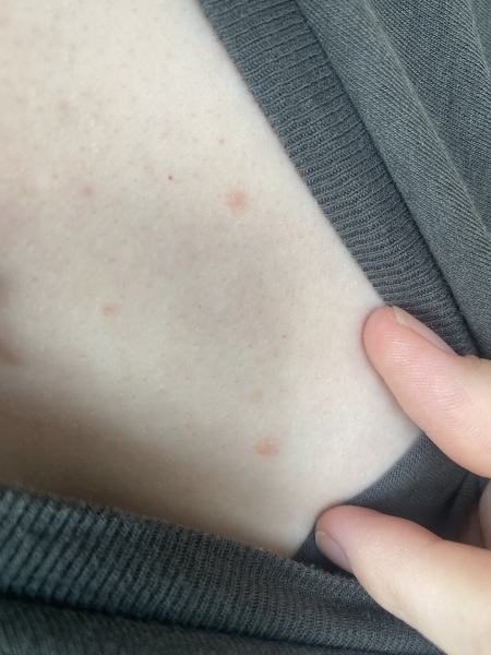 Anyone know what these could be?