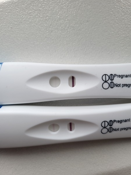 IVF April 2023