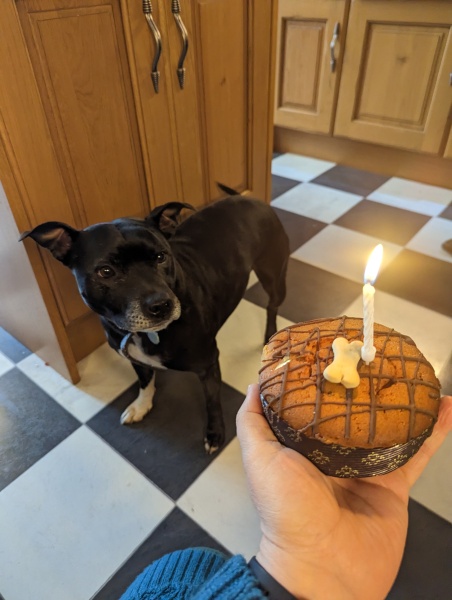 Help me add a SBT to our family...