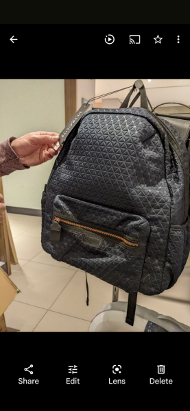 If you have a toddler, what kind of bag do you use?