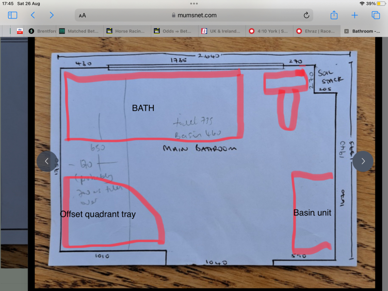 Bathroom - partially covering a window void for a shower - pictures?
