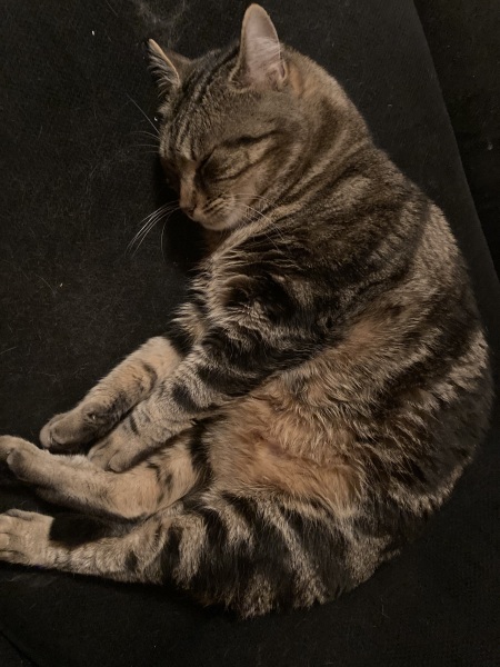 Did you know that she has never ever been fed in her life