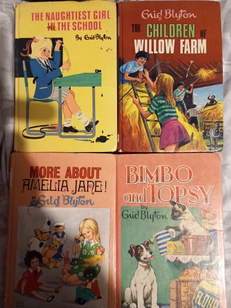 What was your favourite Enid Blyton book?