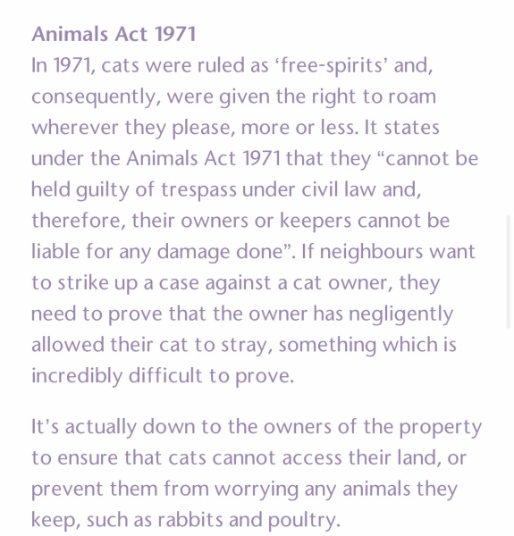 To break into my new neighbours house *THREAD 3: The Final Conundrum*
