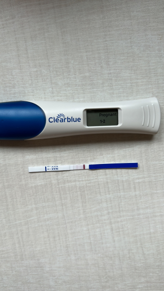 4 weeks pregnant / due April 2024