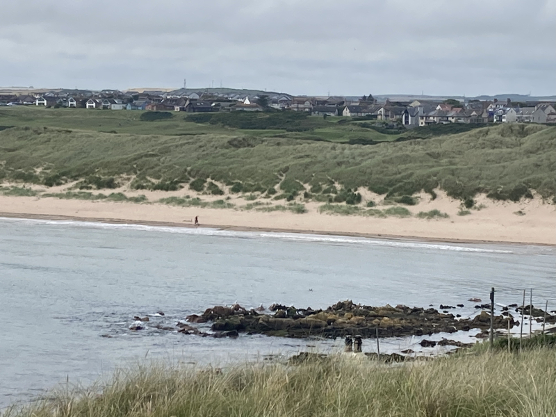 Early Summer weather watch