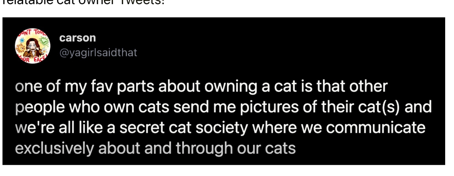 Further Adventures of the Excellent Cats