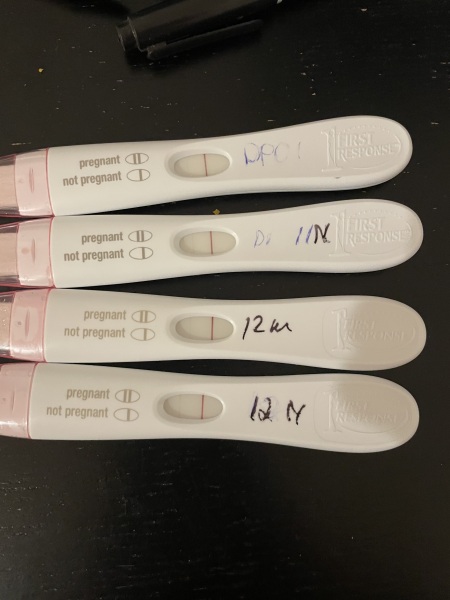 12 dpo pregnancy test