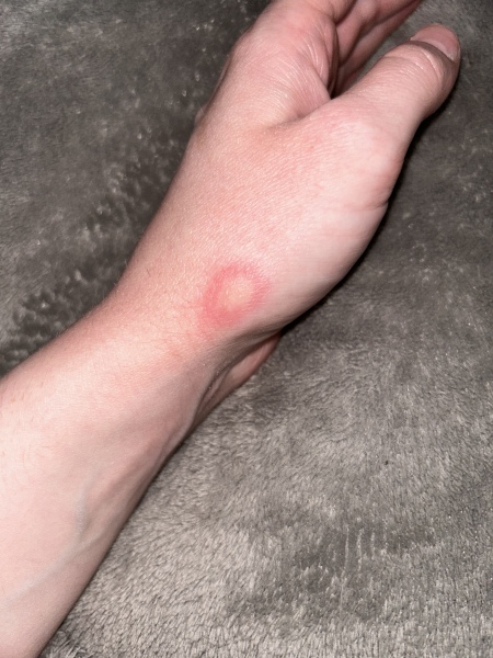 Help! Wtf is this?