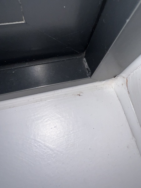 Flies in house