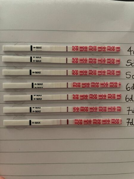 BFP 19/08/23 - anyone else?