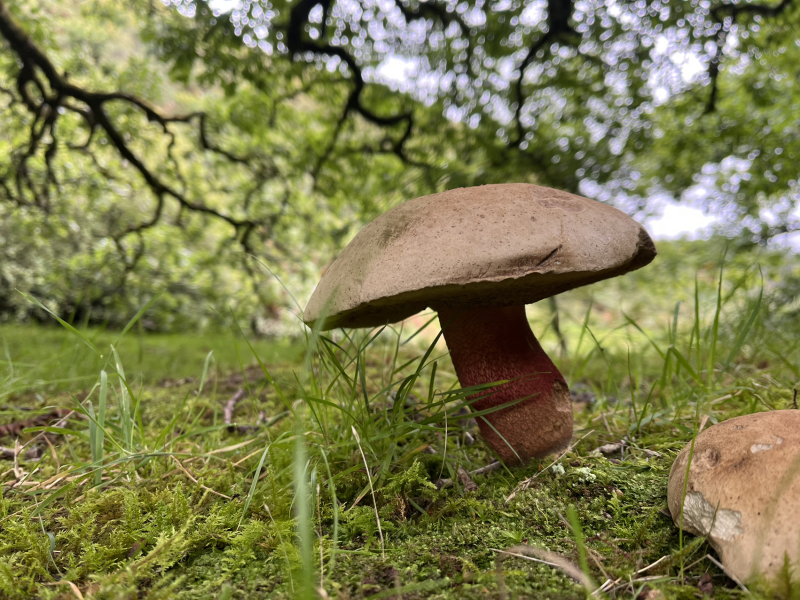 Any Witches Here?- Part 19