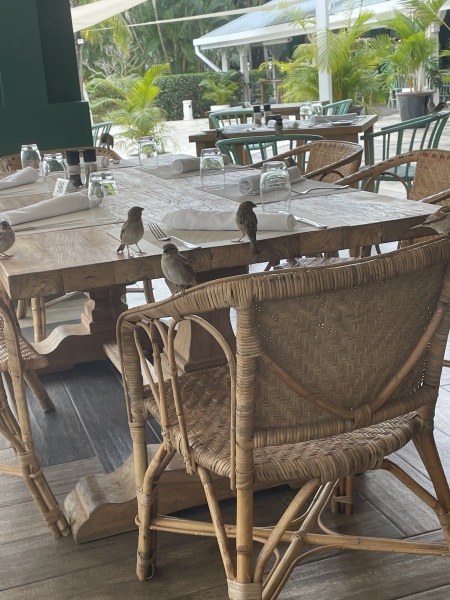 Come and tell me your dull and unexciting news 26: Calmly through the day 