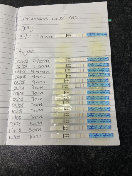 Ovulation after pregnancy loss