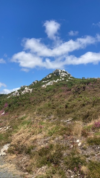 The Saxenda Sisterhood 