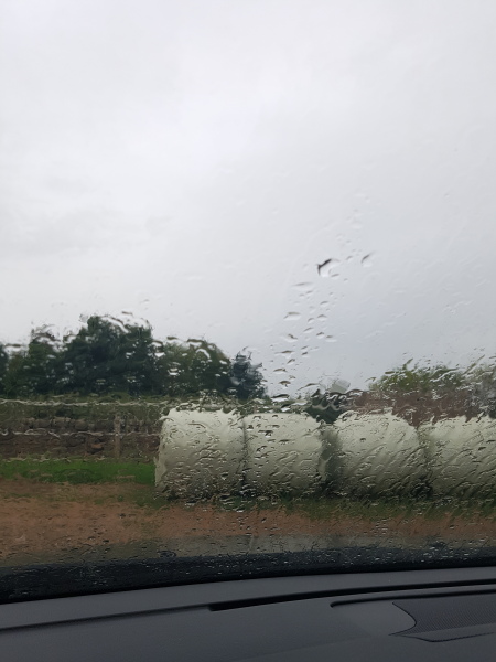 Come and tell me your dull and unexciting news 26: Calmly through the day 