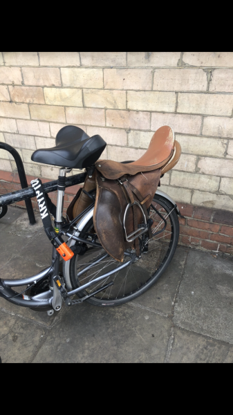 More city people use horses as transport than country people.