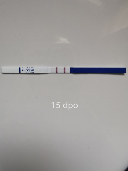 1DPO... Any tww buddies? 