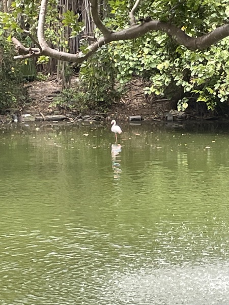 Come and tell me your dull and unexciting news 26: Calmly through the day 