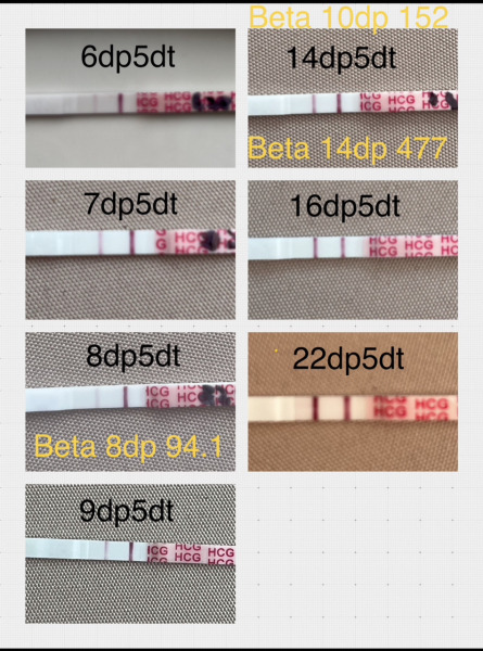Pregnancy tests not getting any darker