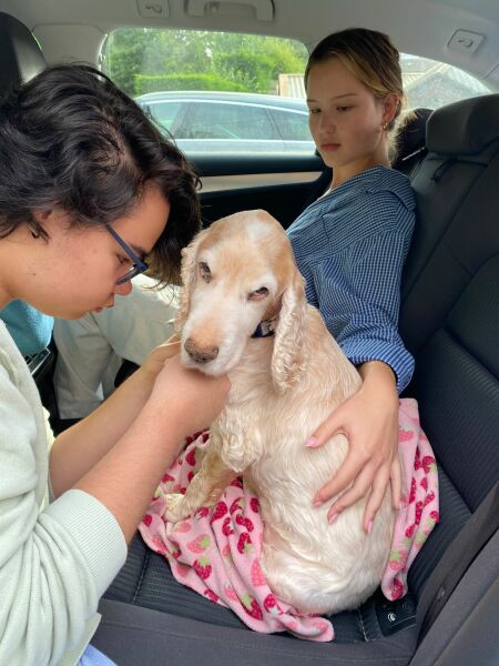 Thread 48- Covid GCSE Cohort - Summer before Year 2 Uni