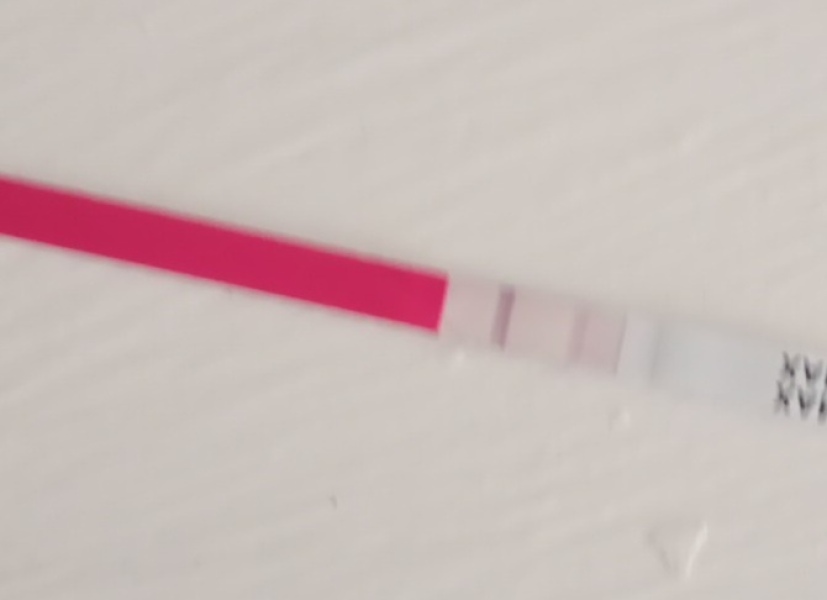 pregnancy test