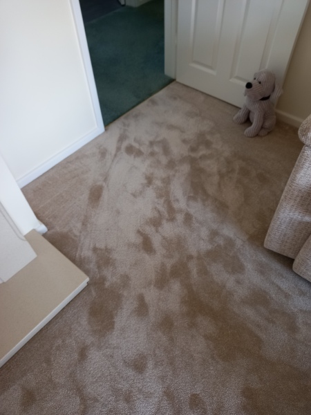 Carpetright - are they any good?