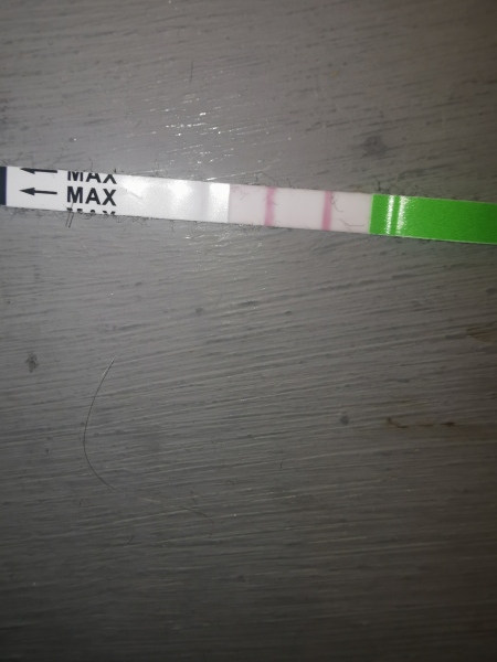 1DPO... Any tww buddies? 