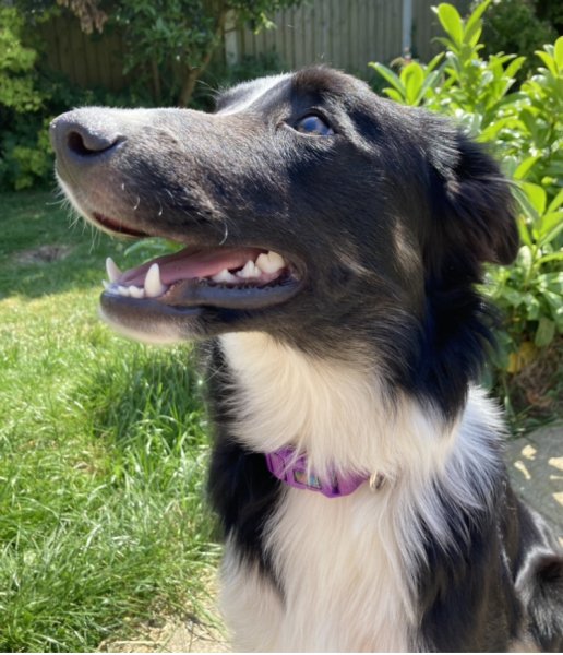 Cancer Support Thread 89 - the best thread that no one wants to be on.