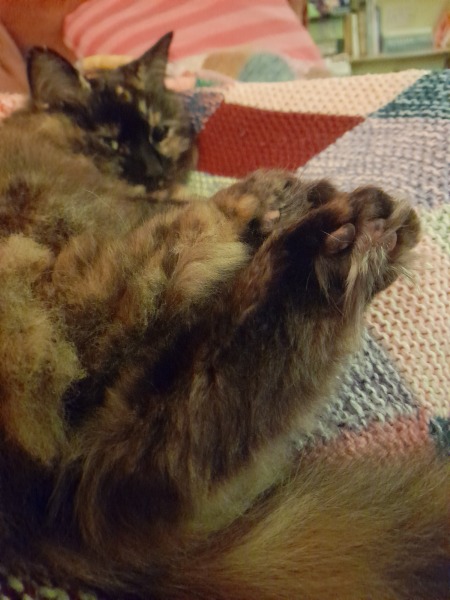 Autistic Women Assemble! #2