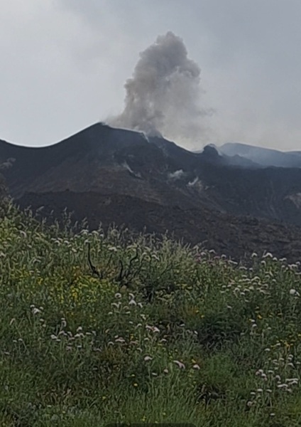 Sicily in October half term? 