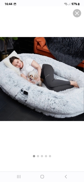 To consider buying 3½ yo DD a dog bed for her to play in?